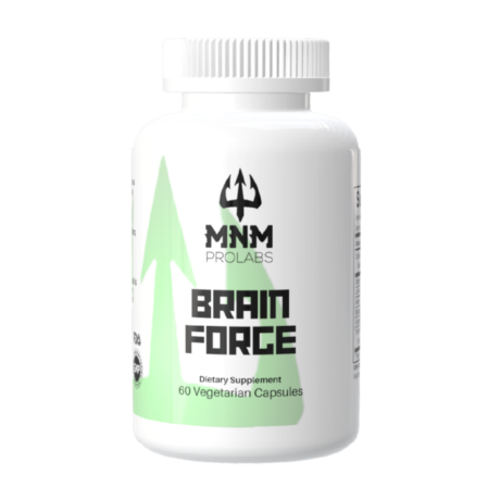 BRAIN FORGE Memory Support