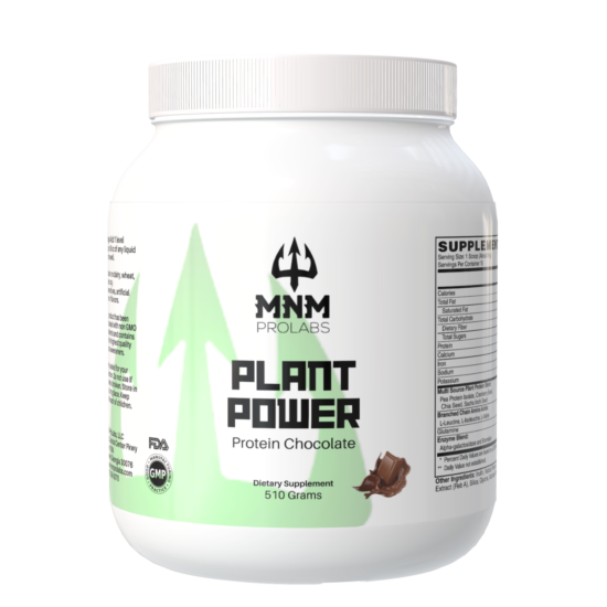 PLANT POWER – Vegan Chocolate Protein