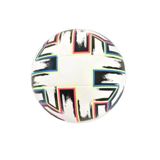 Premium Size 5 Soccer Ball