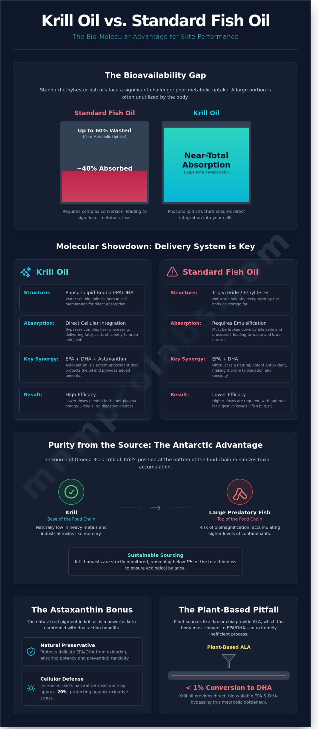 Krill Oil: The Definitive Guide to Phospholipid-Bound Omega-3s in 2026
