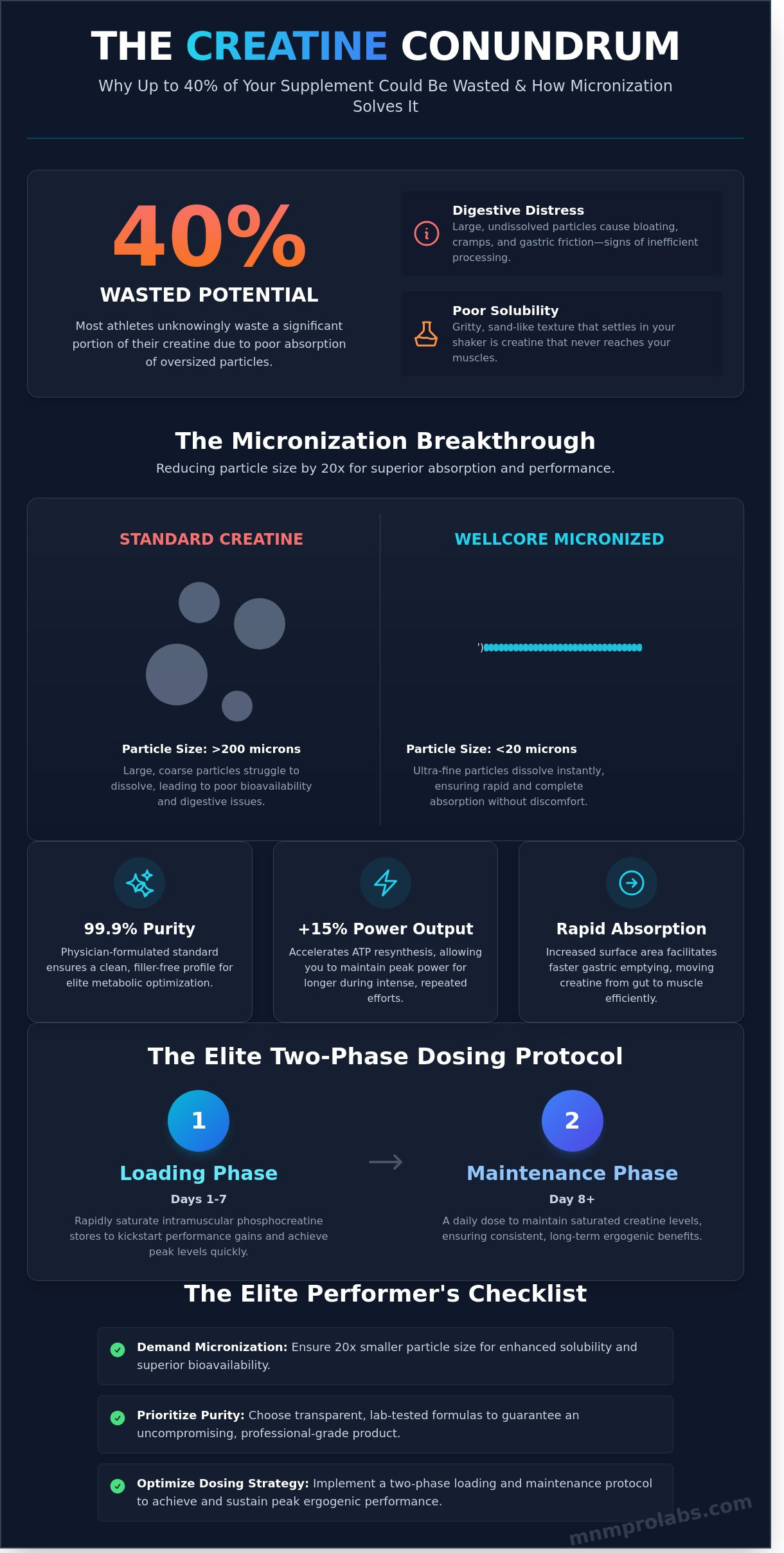 Wellcore Creatine Review: A Scientific Analysis for Elite Athletes [2026] - Infographic