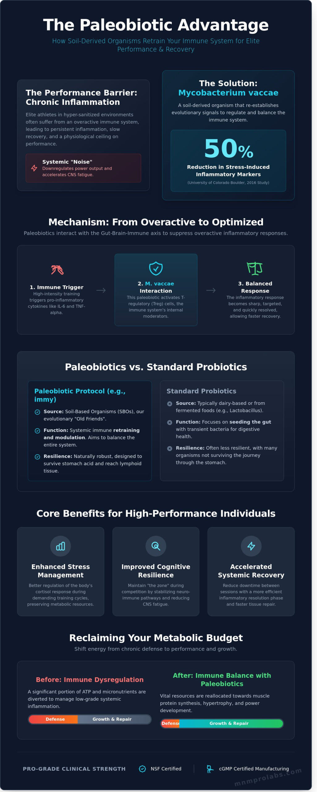 The Science of Immy Supplement: A Deep Dive into Paleobiotics and Performance